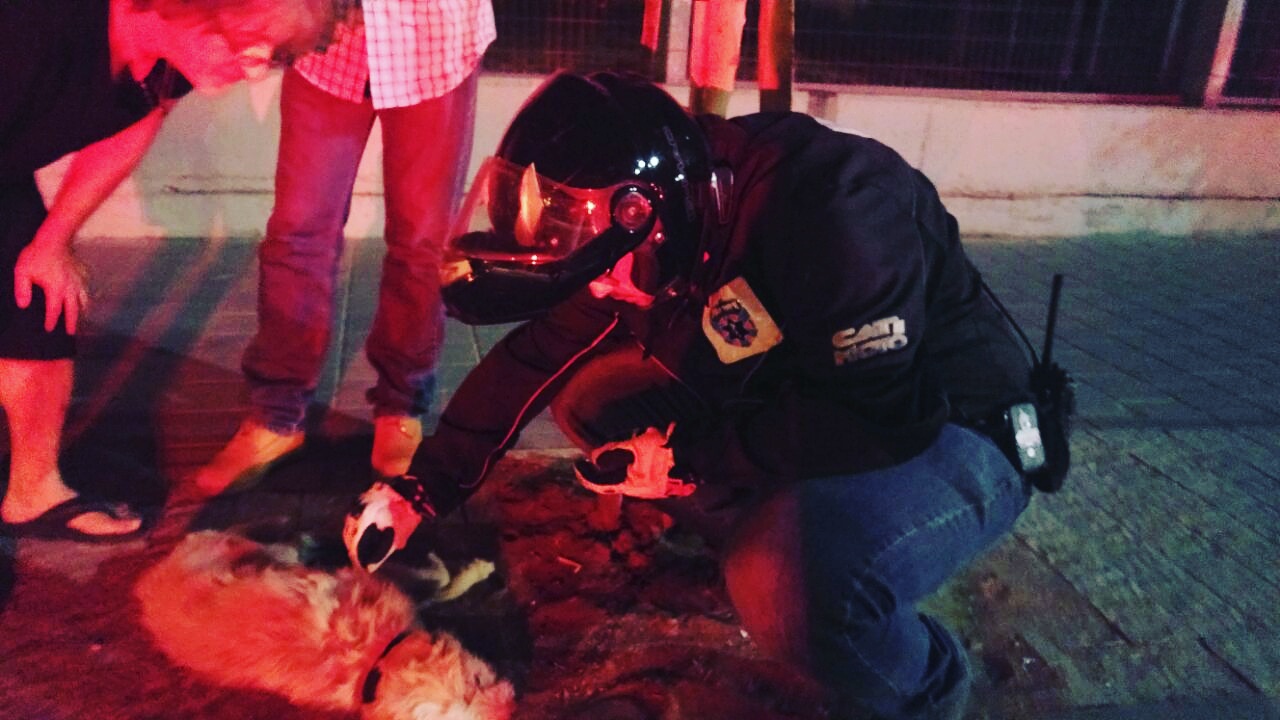 0acfdaac ca73 4ef8 8c88 fc7659faff63 1