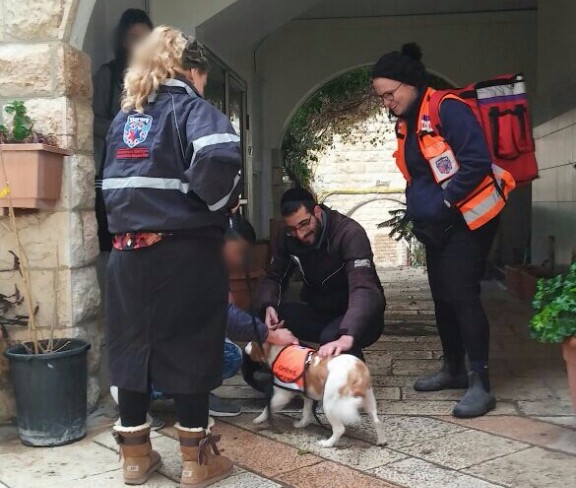 Batya and Lucy at work in Jerusalem illustration