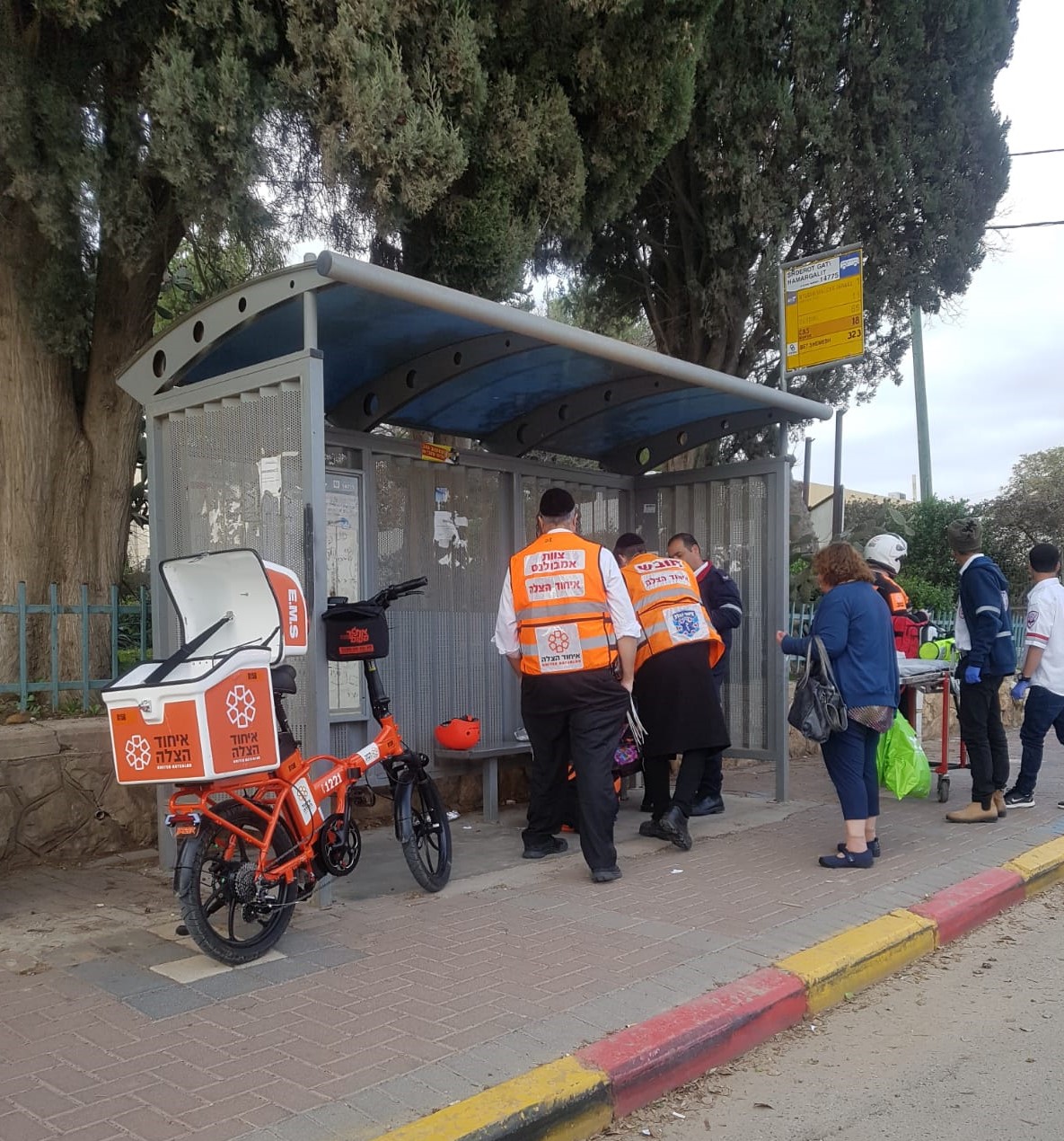 Bus incident 8156 1