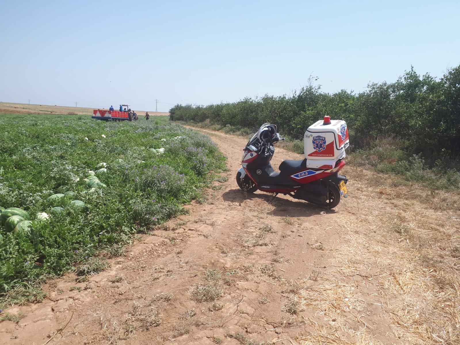 GIlads ambucycle in the watemelon field in Moshav Segulah