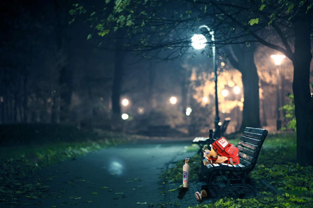 chinese auction article