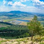 a19806c7273f6c234a7a19fcaeb425d8